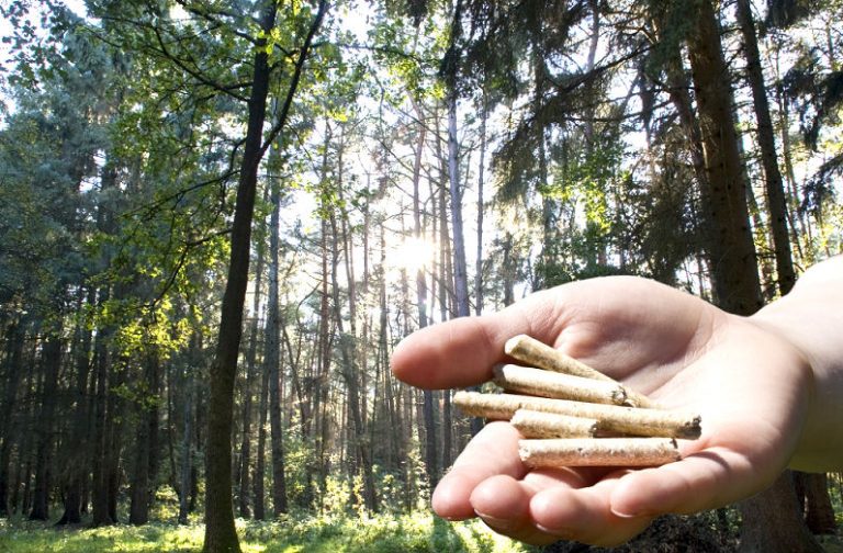 Pellets aus gepressten Holzresten