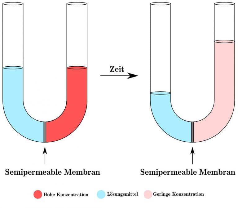 Was Ist Eine Osmoseanlage? ⋆ Heimwerker Tipps