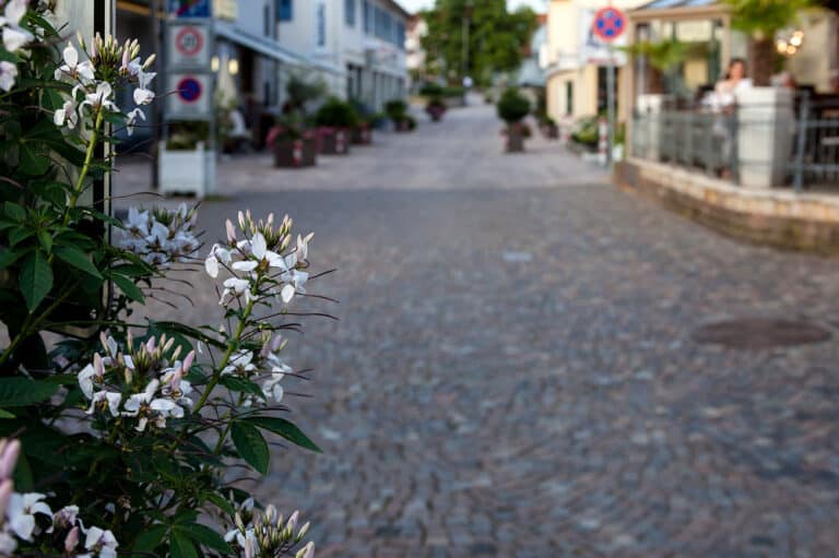 Straße in Bad Krozingen