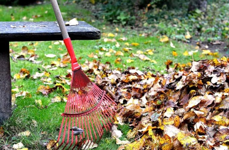 Manche Gartengeräte, wie zum Beispiel so ein Rechen für das Laub braucht man einfach für die Gartenarbeit.