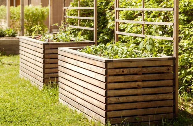 Ein langlebiger und pflegeleichter Garten gelingt mit Hochbeeten fast mühelos, da Hochbeete die Bepflanzung in einem abgetrennten Bereich halten und das Wachstum von Unkraut eindämmen.